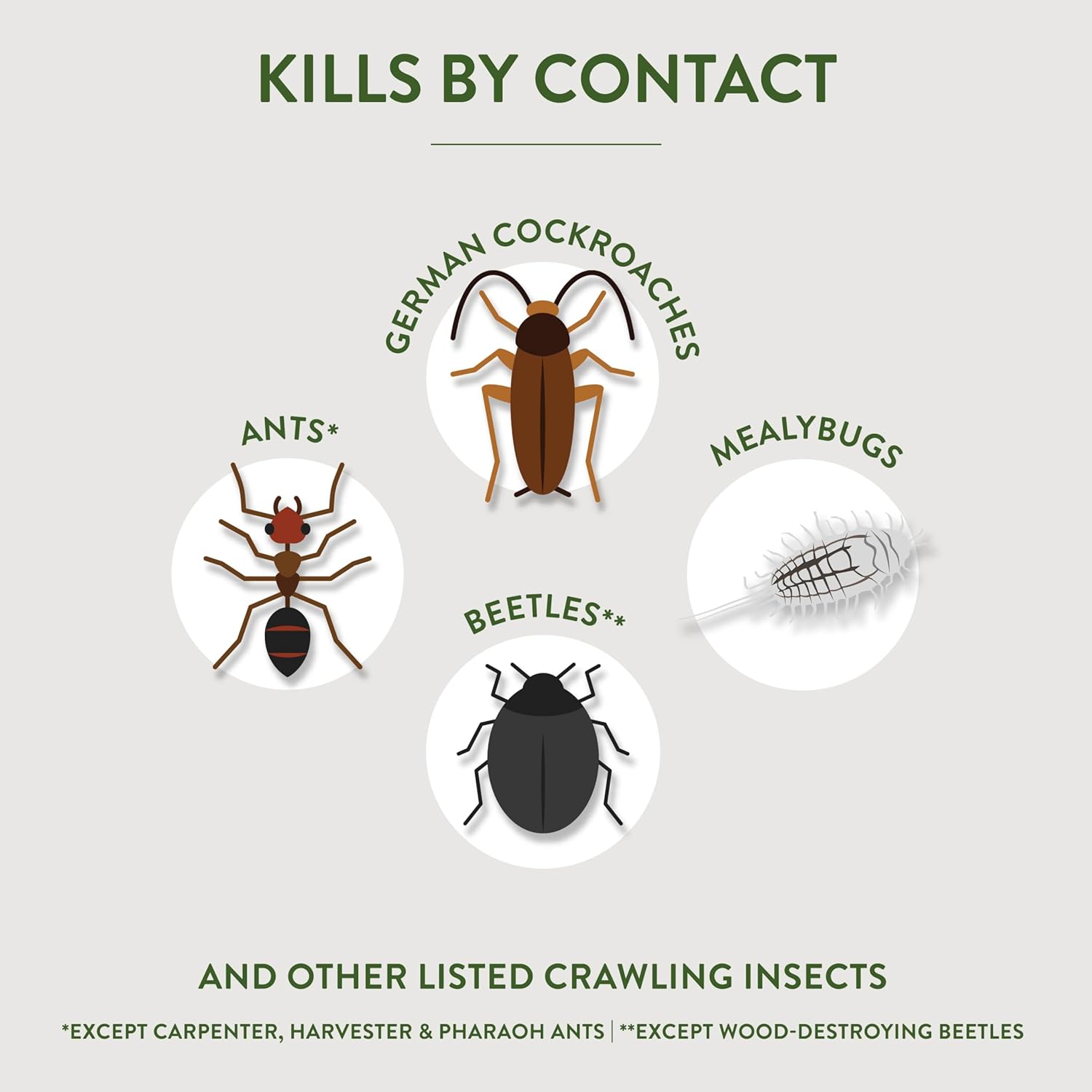 Diatomaceous Earth Insect Killer