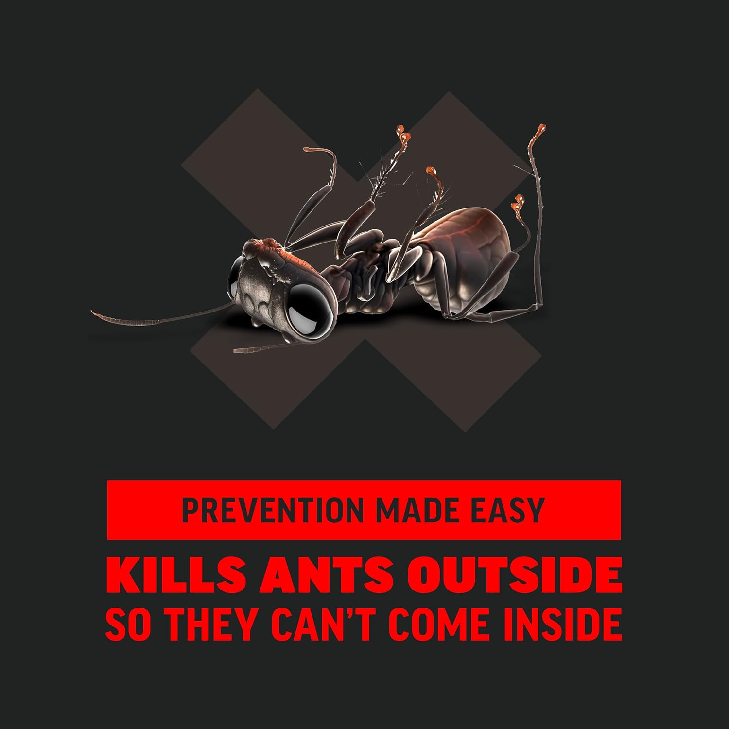 Outdoor Ant Killer