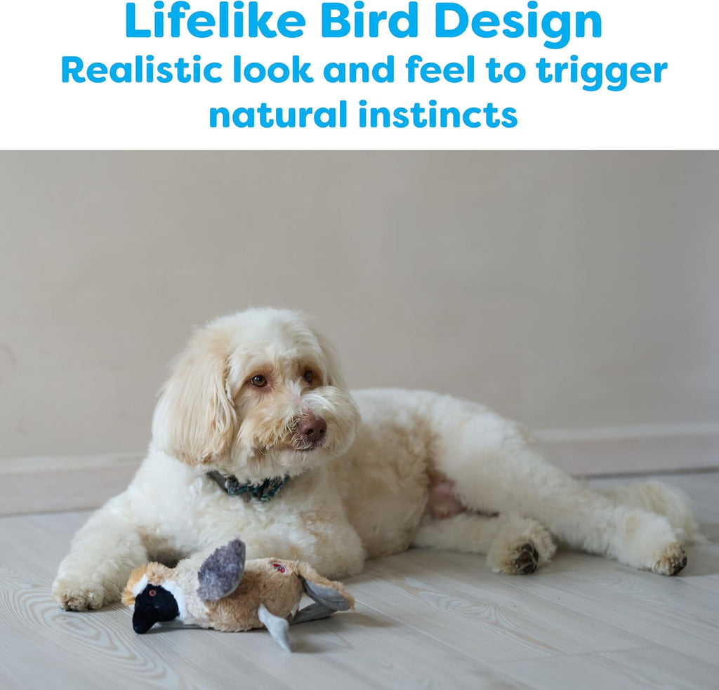 Bird Sound Plush Dog Toy