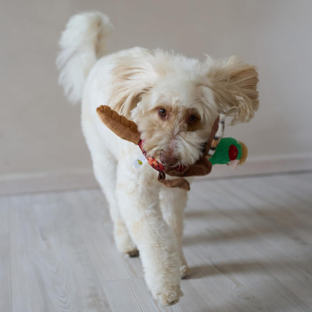 Bird Sound Plush Dog Toy
