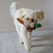 Bird Sound Plush Dog Toy