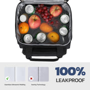 23L Insulated Expandable Lunch Cooler Bag