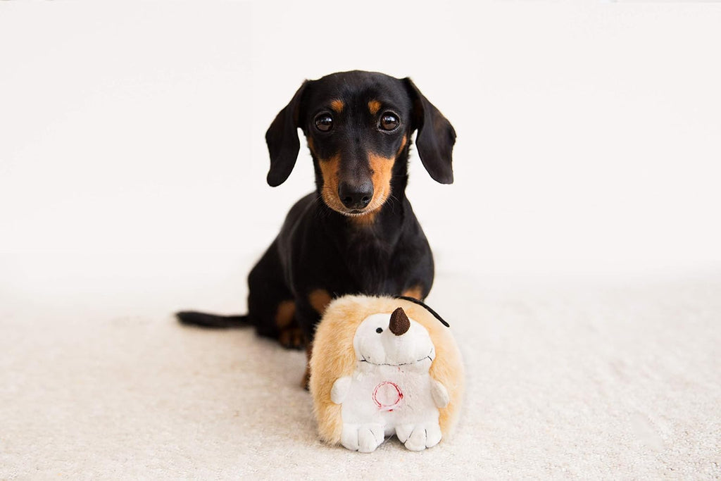 Interactive Chattering Hedgehog Plush Dog Toy