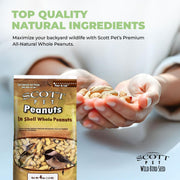 Whole Peanut Bird Food