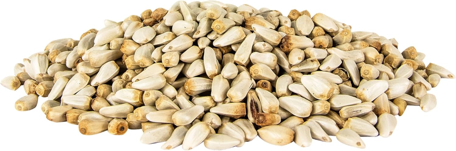 Safflower Bird Seed
