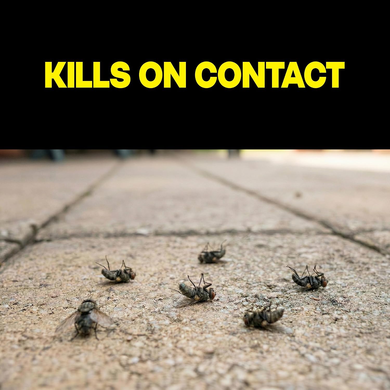 Multi Insect Spray