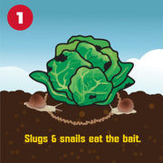 Slug & Snail Killer