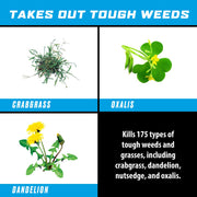 Weed Killer Concentrate