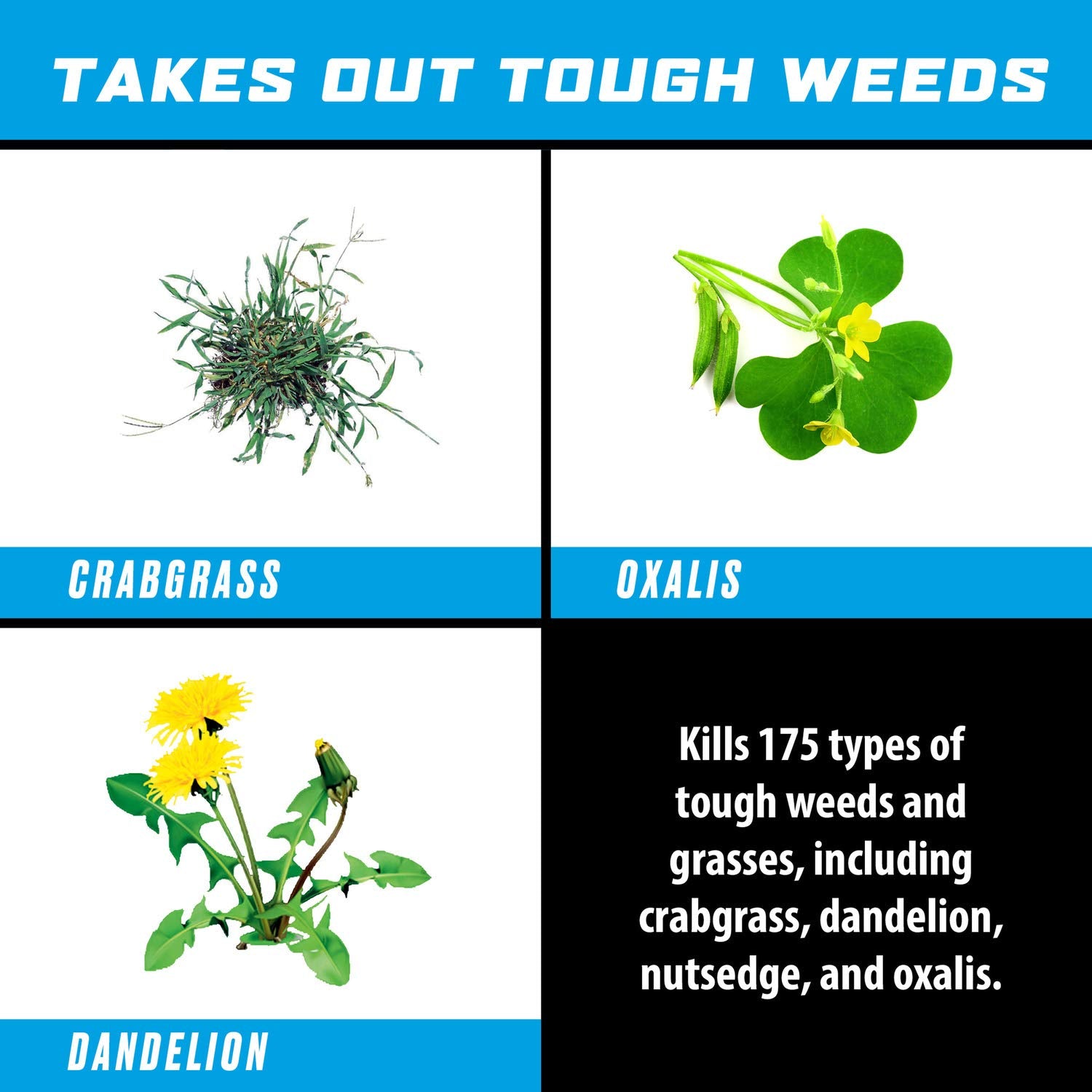 Weed Killer Concentrate