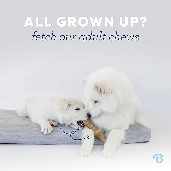 Tiny Puppy Chew Toy Set – 2 Pack