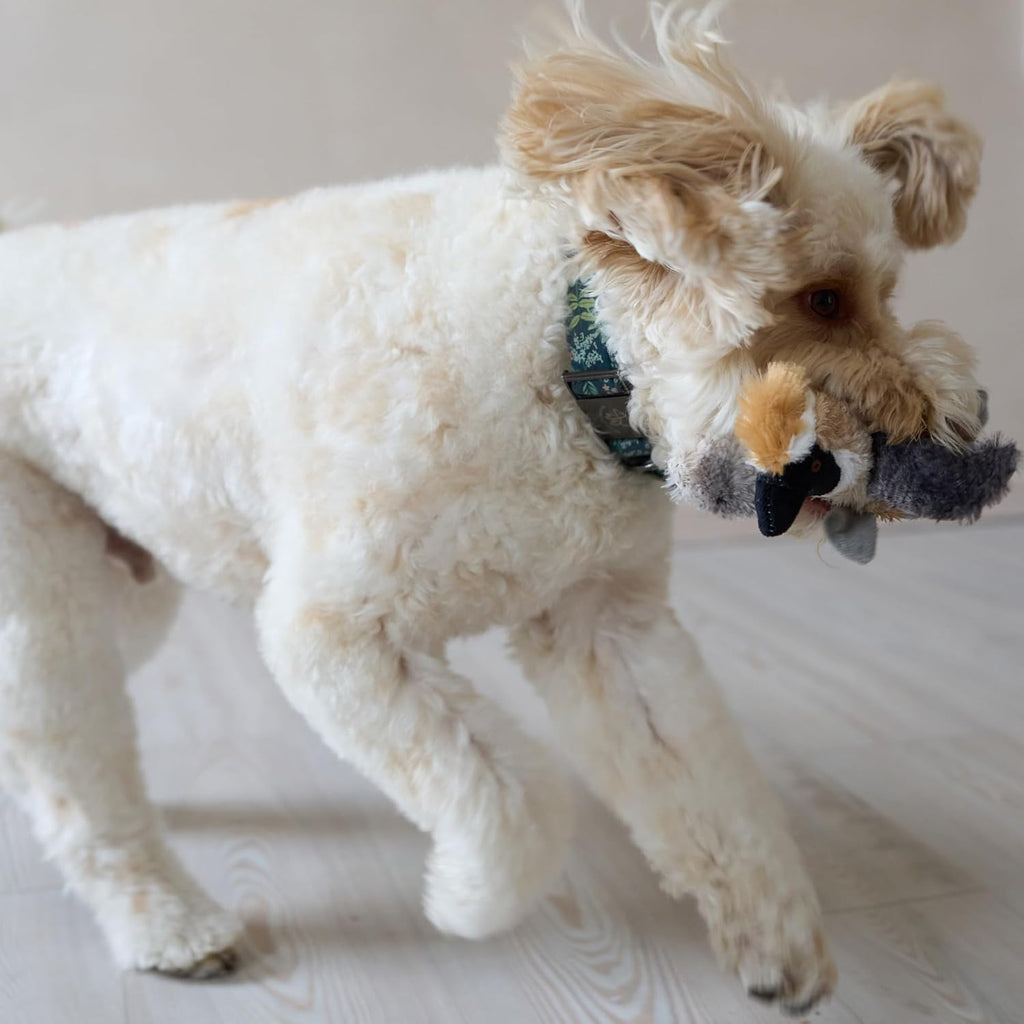 Bird Sound Plush Dog Toy