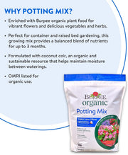 Plant Rooting Powder