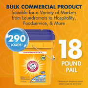 Powder Laundry Detergent