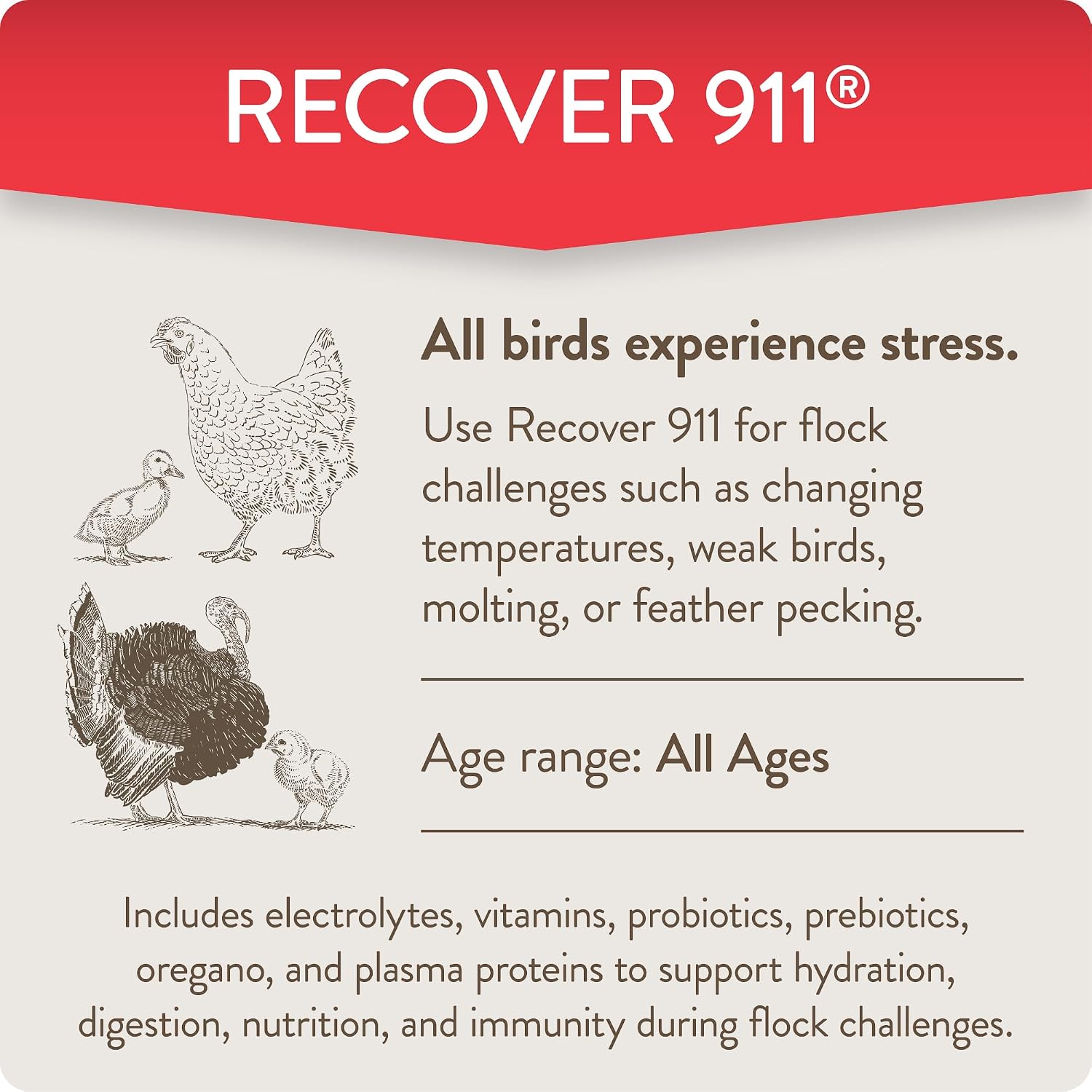 Chicken Stress Support