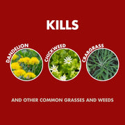 Tick Killer Spray