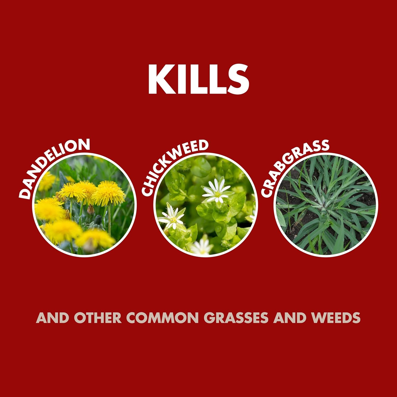 Tick Killer Spray