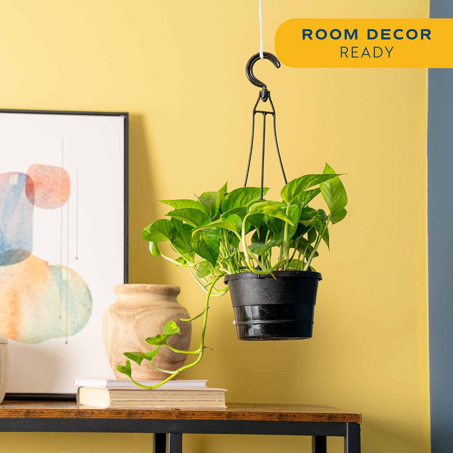 Silver Satin Pothos
