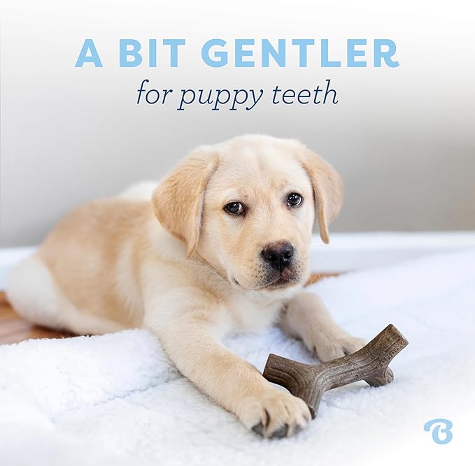 Tiny Puppy Chew Toy Set – 2 Pack