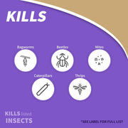 Organic Insect Killer