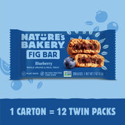 Blueberry Fig Snack Bars