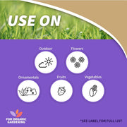 Outdoor Ant Granules