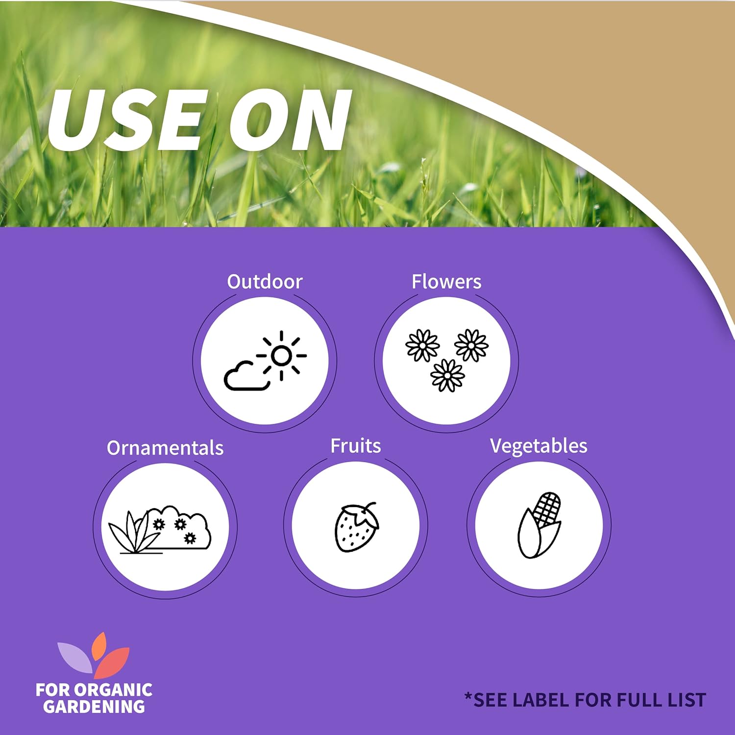 Outdoor Ant Granules