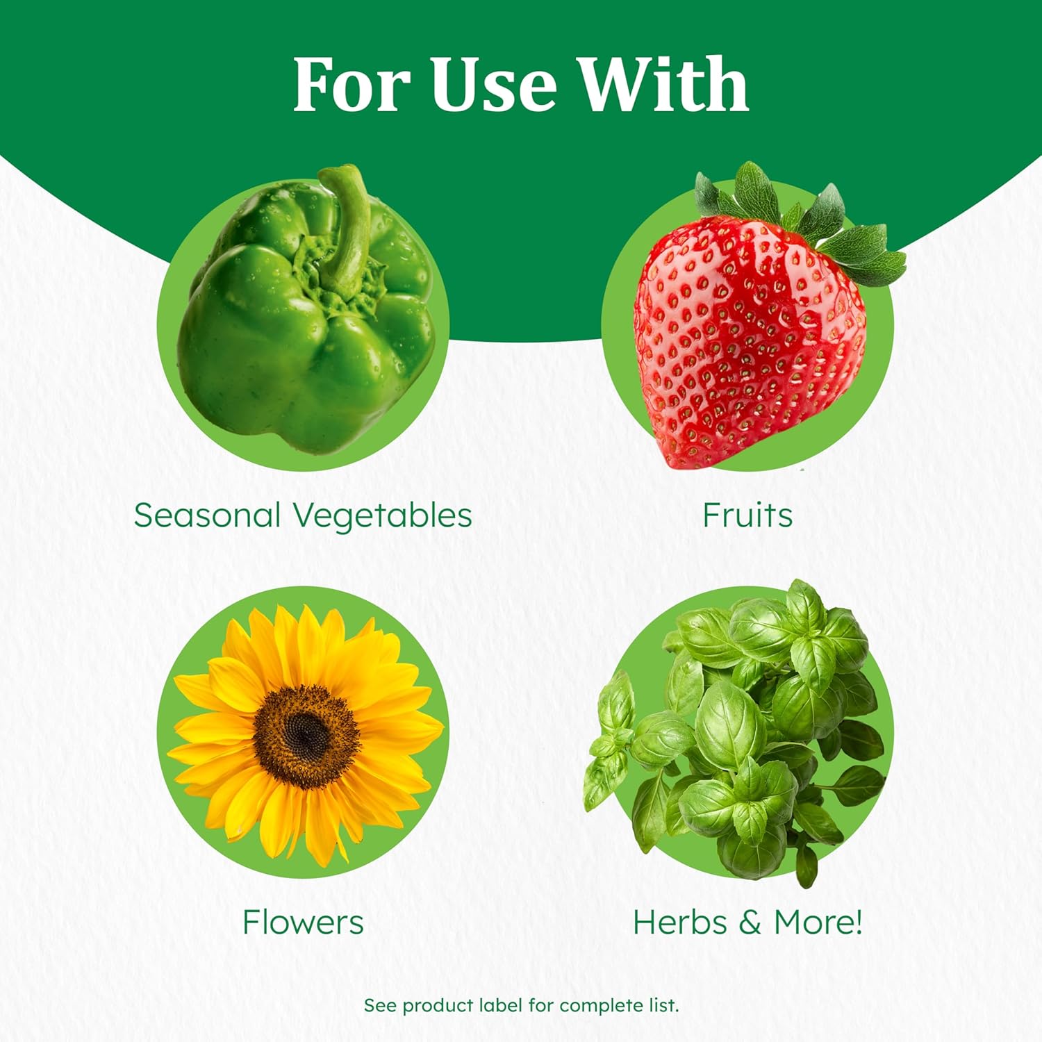 Flower Vegetable Plant Food