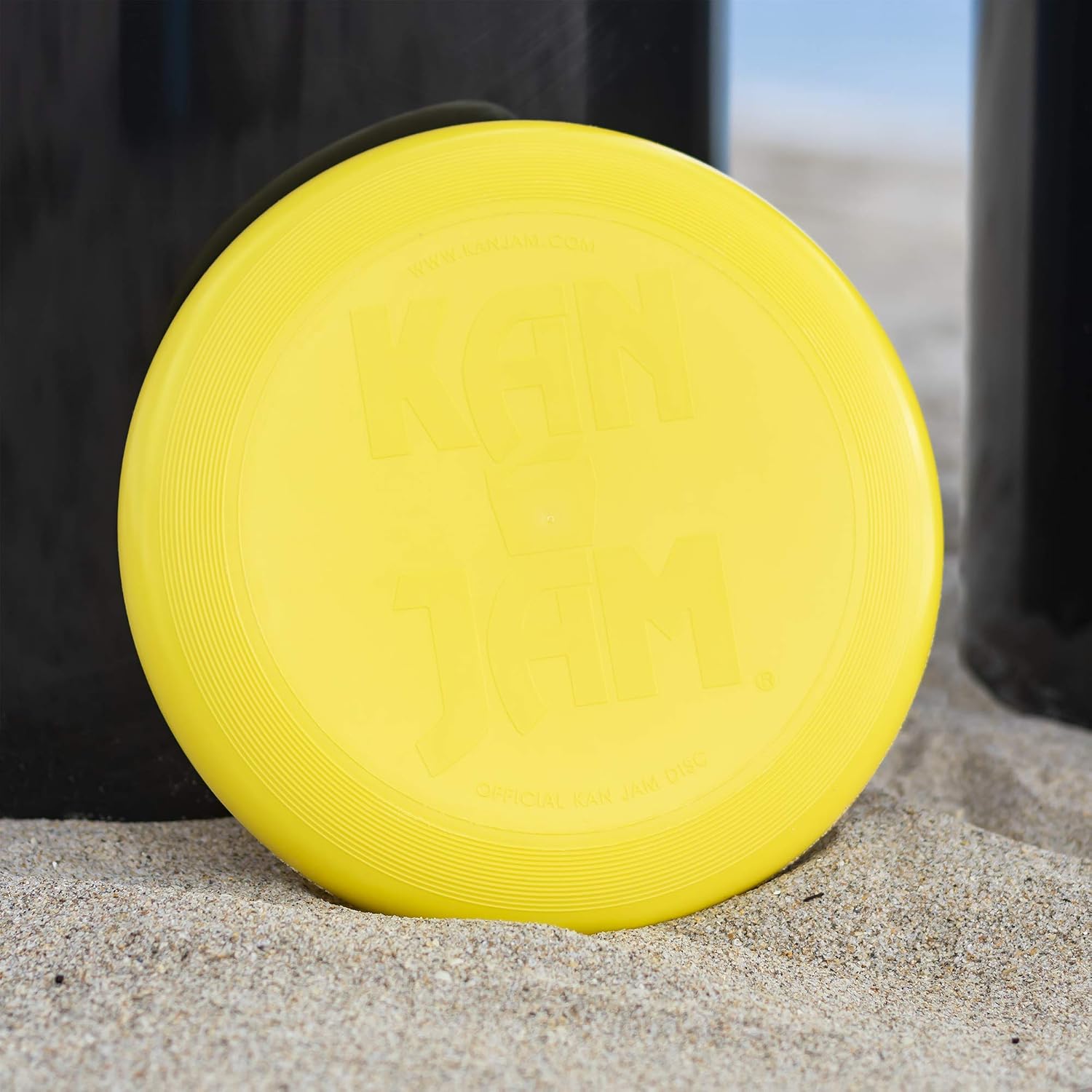Outdoor Disc Toss Team Game