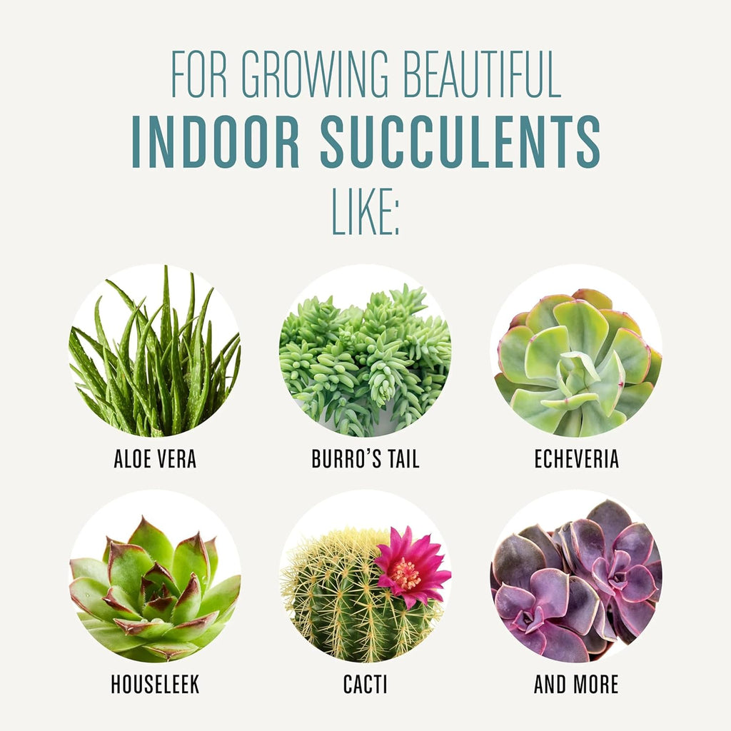 Succulent Potting Mix