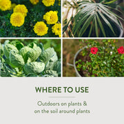Diatomaceous Earth Insect Killer