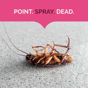 Ant Roach Killer