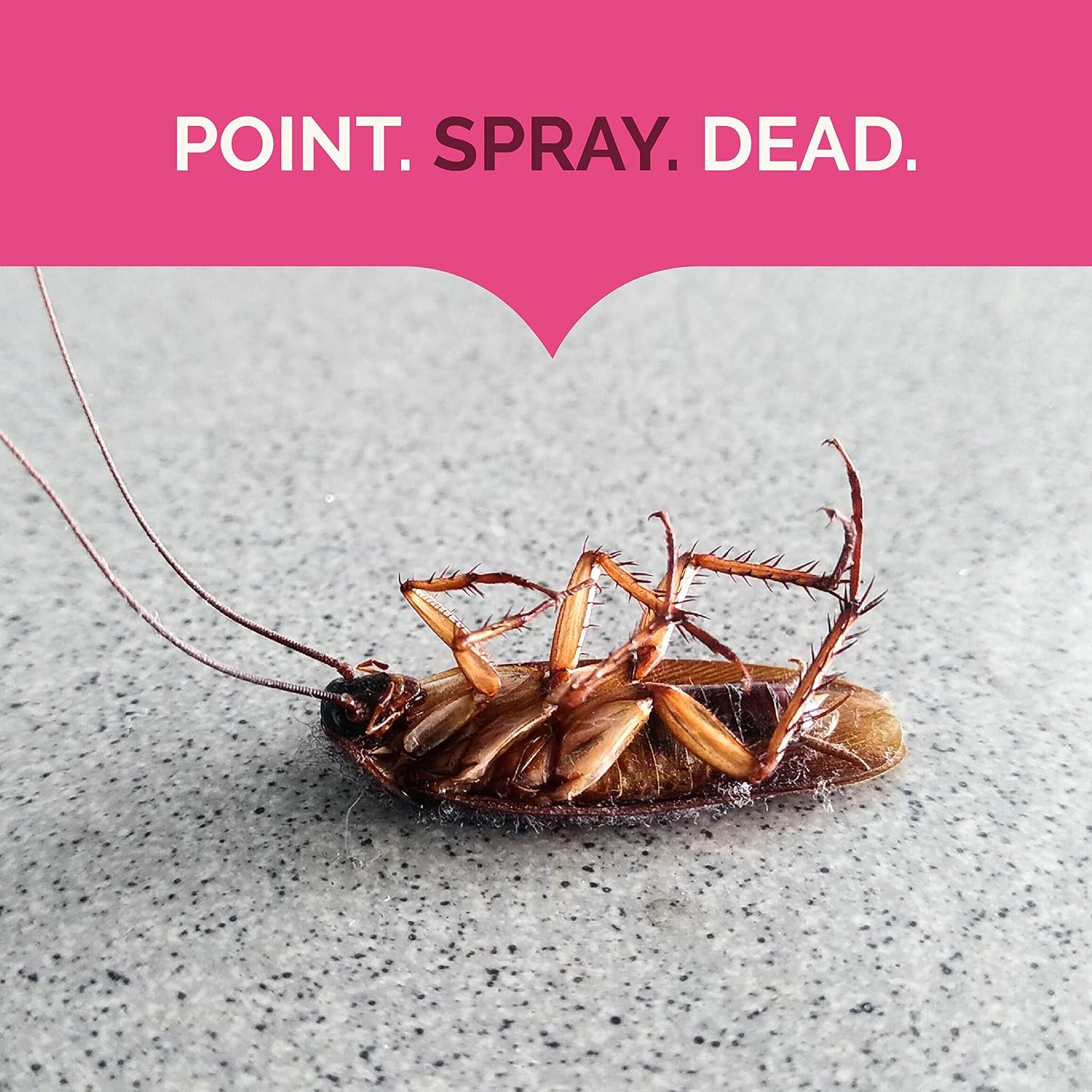 Ant Roach Killer