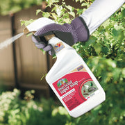 Insecticidal Plant Spray