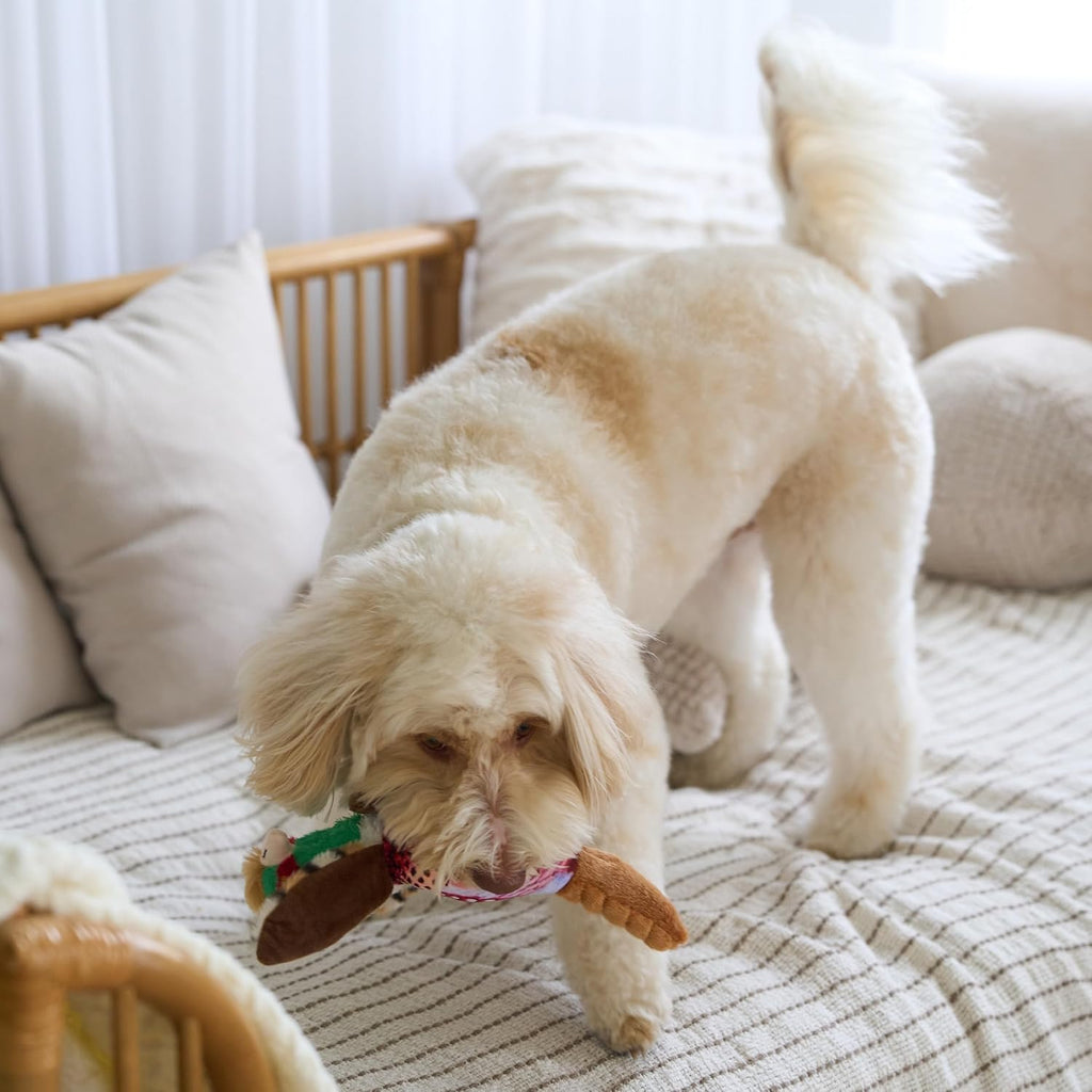 Bird Sound Plush Dog Toy