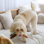 Bird Sound Plush Dog Toy