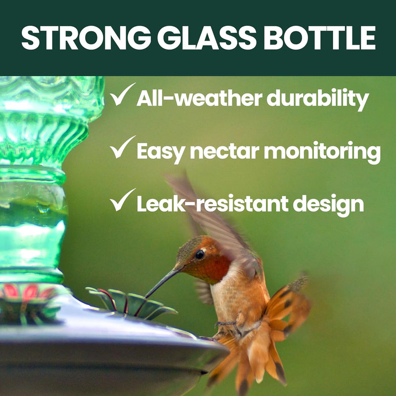 Glass Hummingbird Feeder