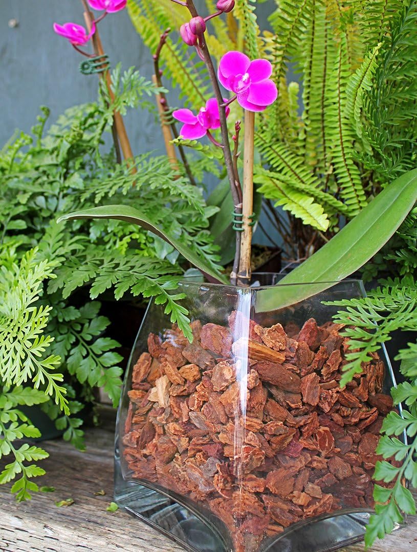 Orchid Potting Bark