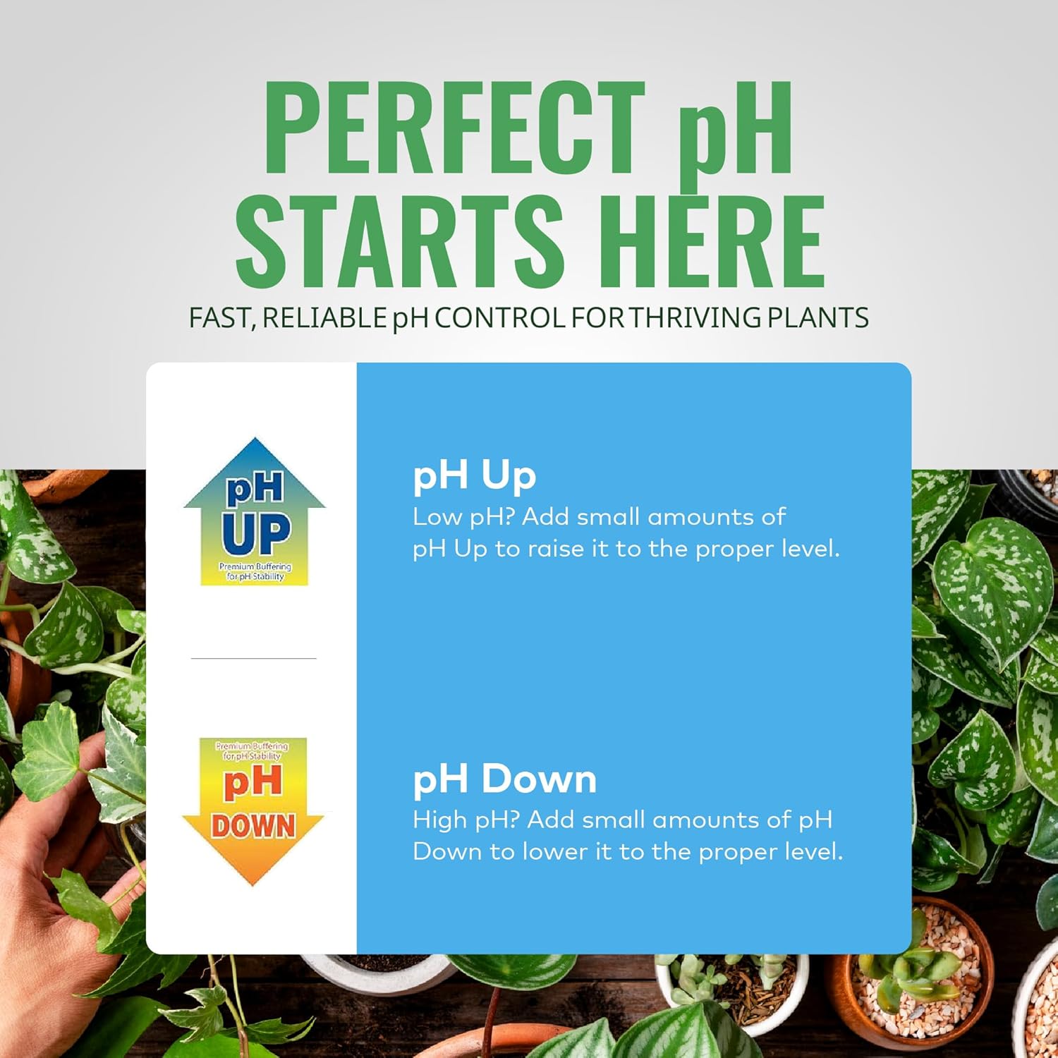 Hydroponic pH Control Kit