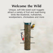 C&S Bluebird Suet Nuggets 27 oz