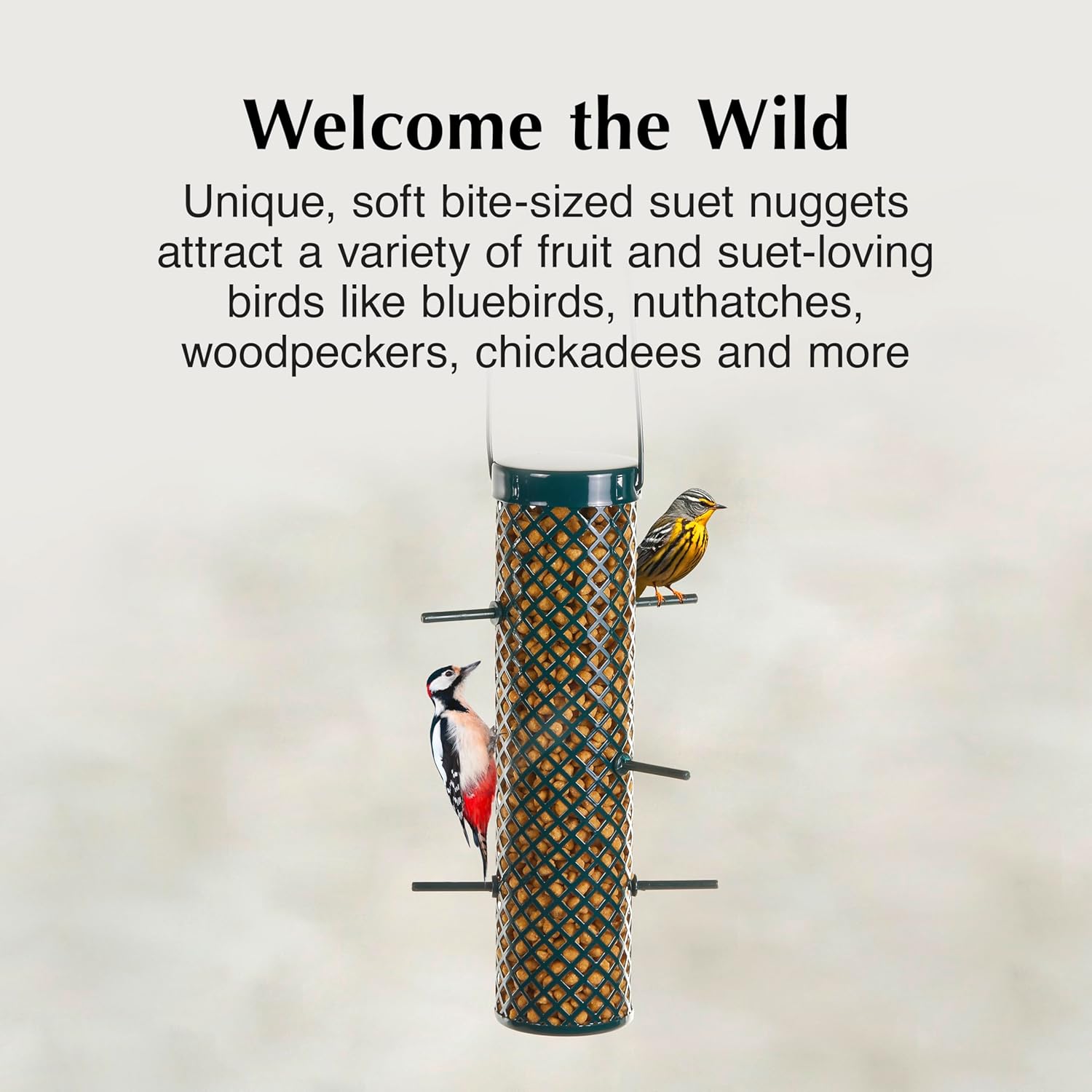 C&S Bluebird Suet Nuggets 27 oz