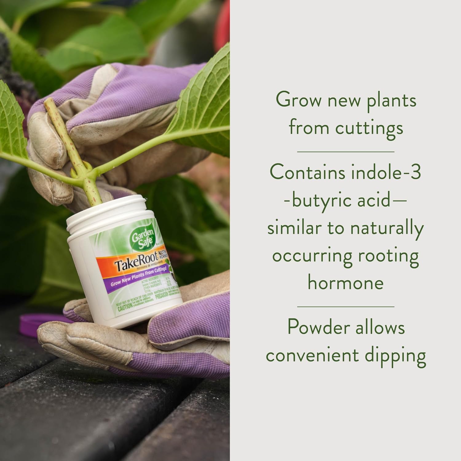 Rooting Hormone Powder
