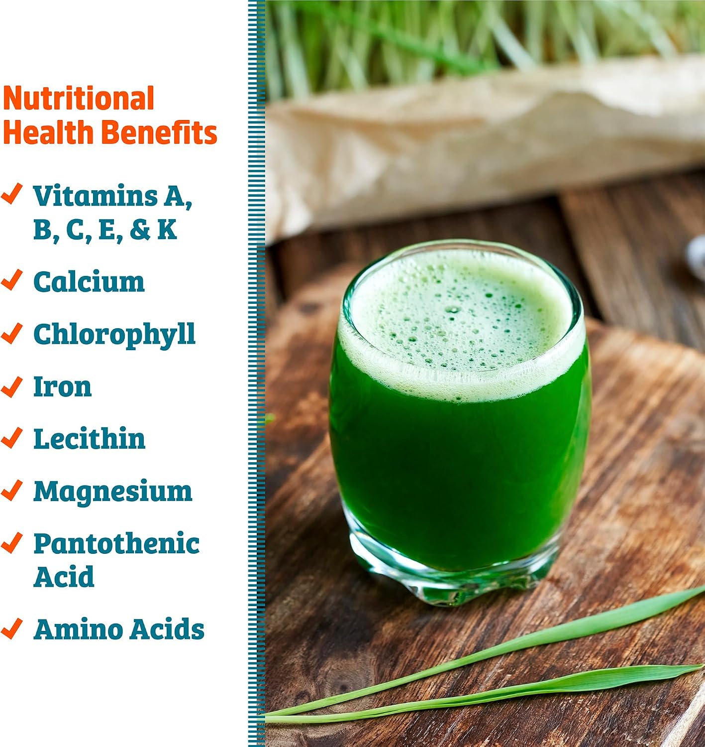 Organic Wheatgrass Seeds