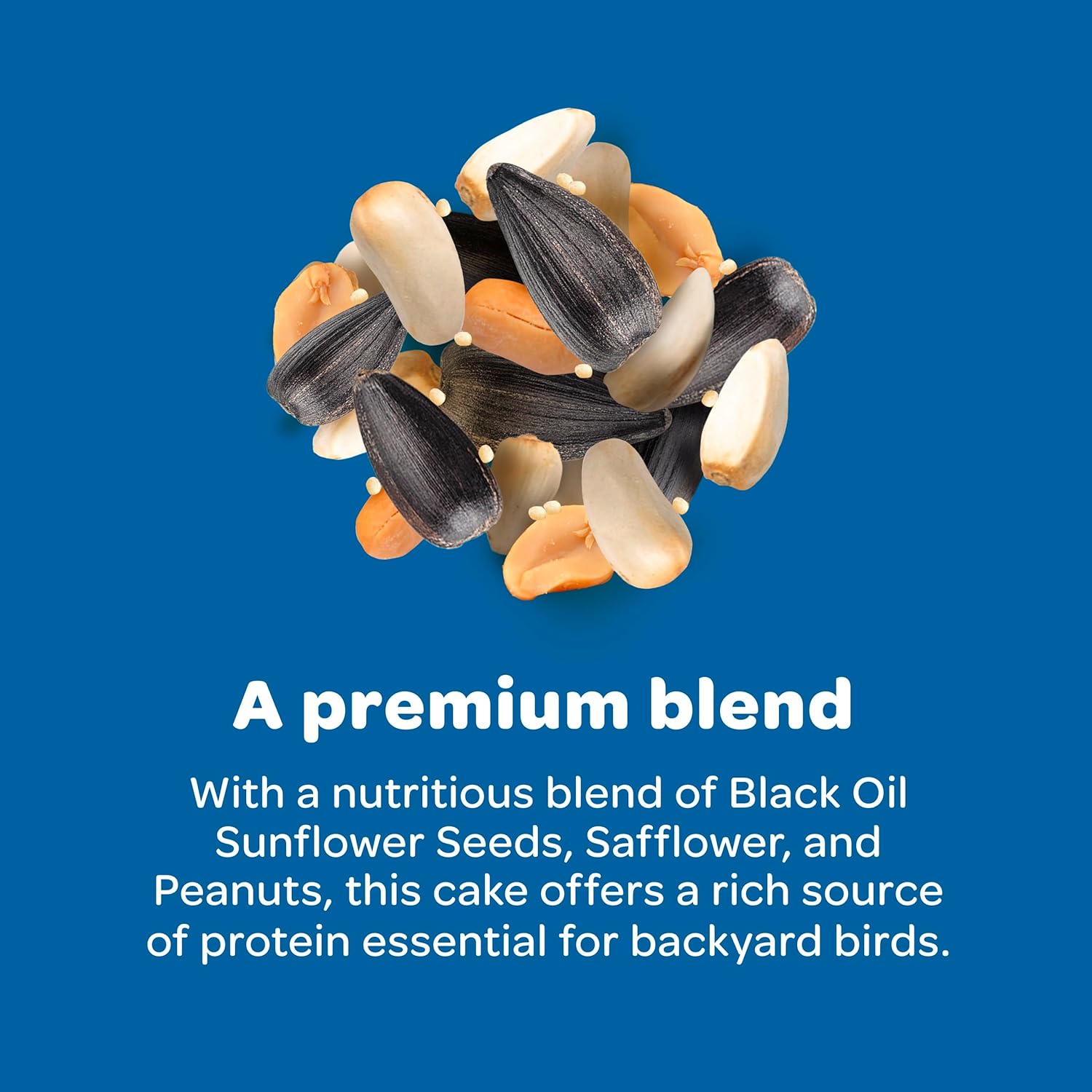 Gourmet Seed Cake