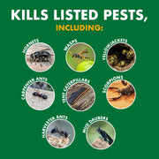 Wasp & Hornet Killer