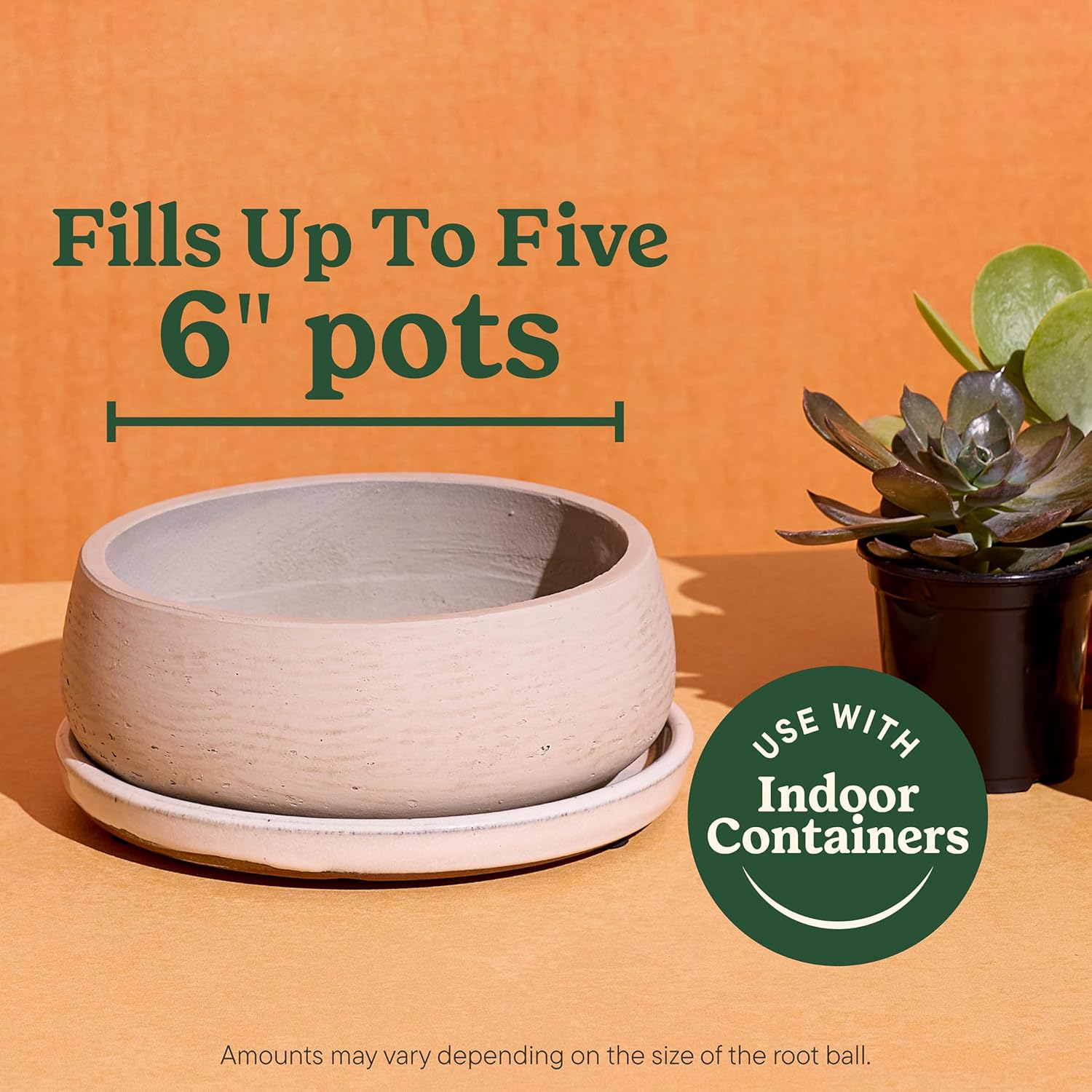 Cactus Potting Mix
