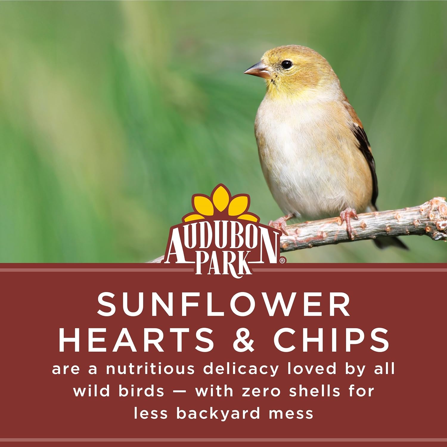 Sunflower Hearts Bird Food