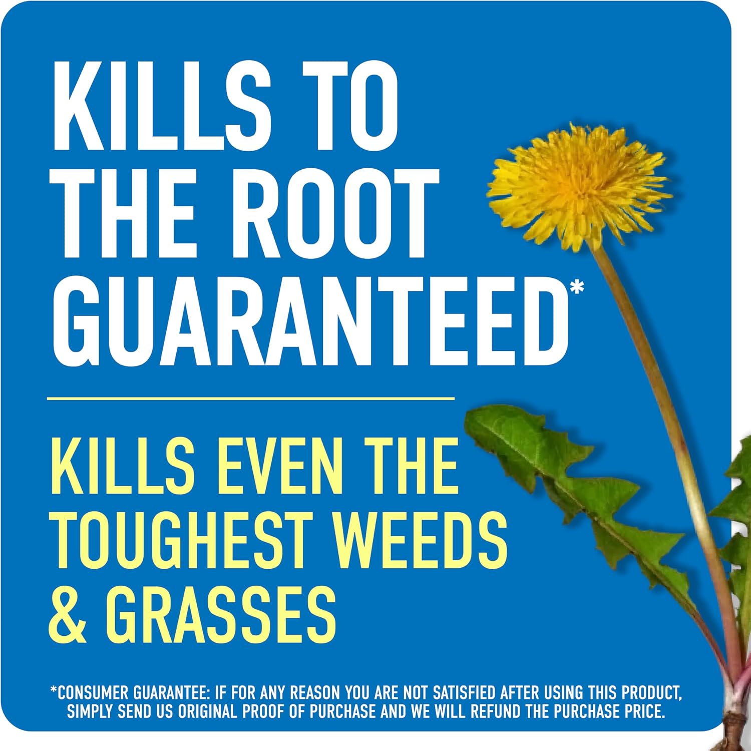 Weed & Grass Killer