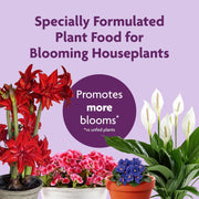 Blooming Plant Food