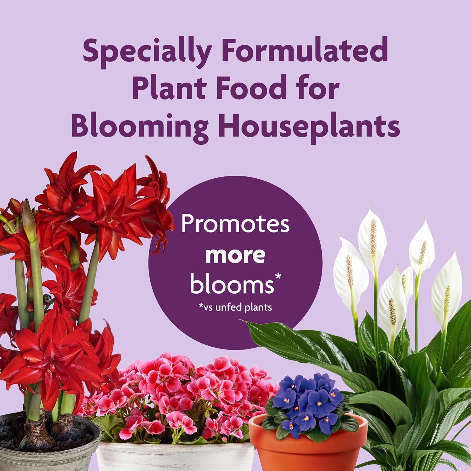 Blooming Plant Food