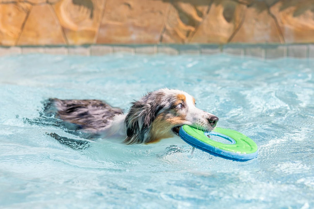 Floating Flying Disc Dog Toy
